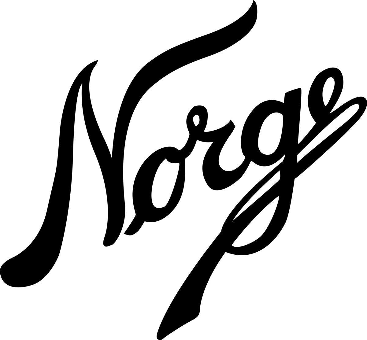 logo_norgesglass