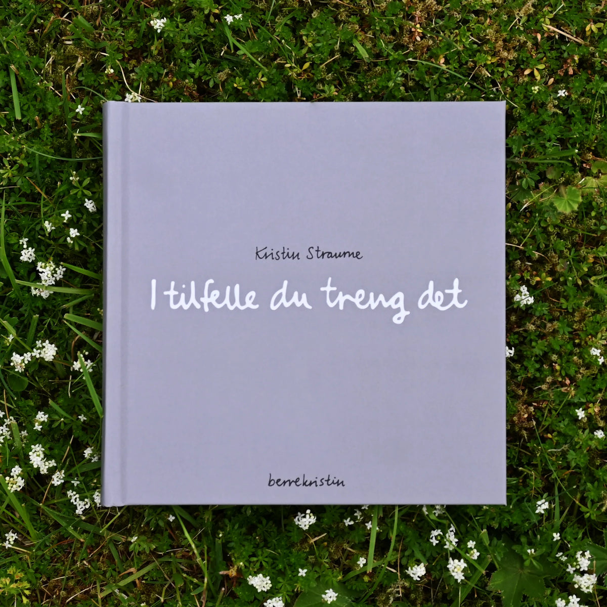 Diktbok | I tilfelle du treng det - Kristin Straume