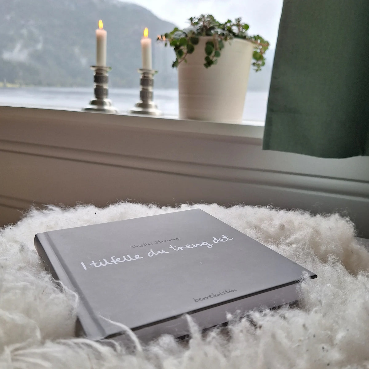 Diktbok | I tilfelle du treng det - Kristin Straume