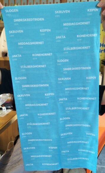 bandana øyefjell blå 4